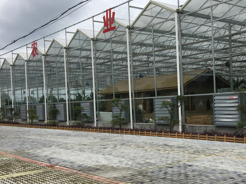 广东农场温室大棚环境空间通风降温案例