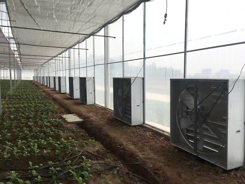 江西农场温室大棚环境空间通风降温案例