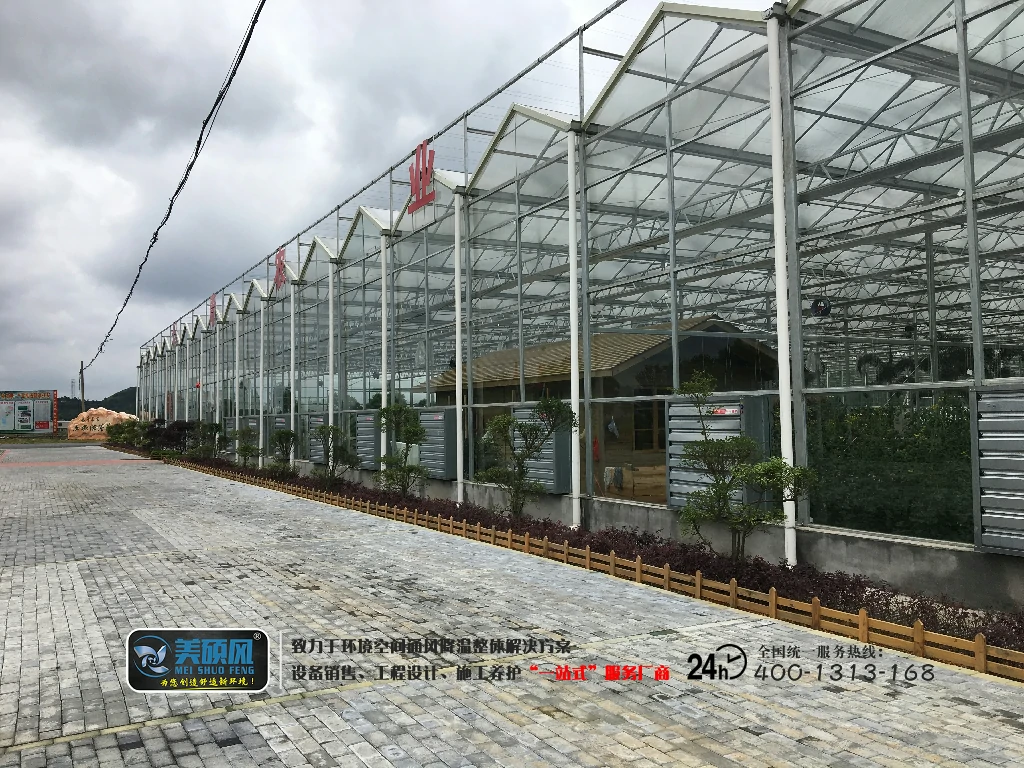 广东农场温室大棚环境空间通风降温案例